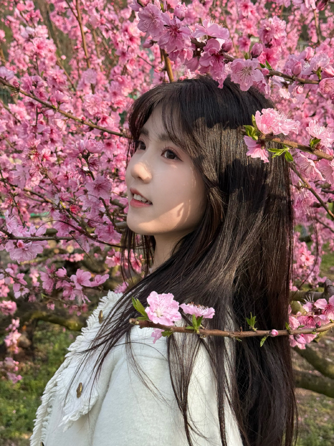 如何用蜘蛛池推送页面结构变更？