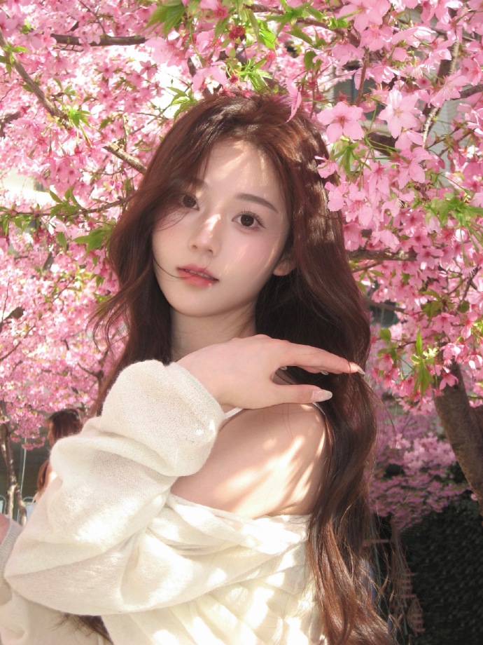 蜘蛛池对SEO黑帽技术的风险分析