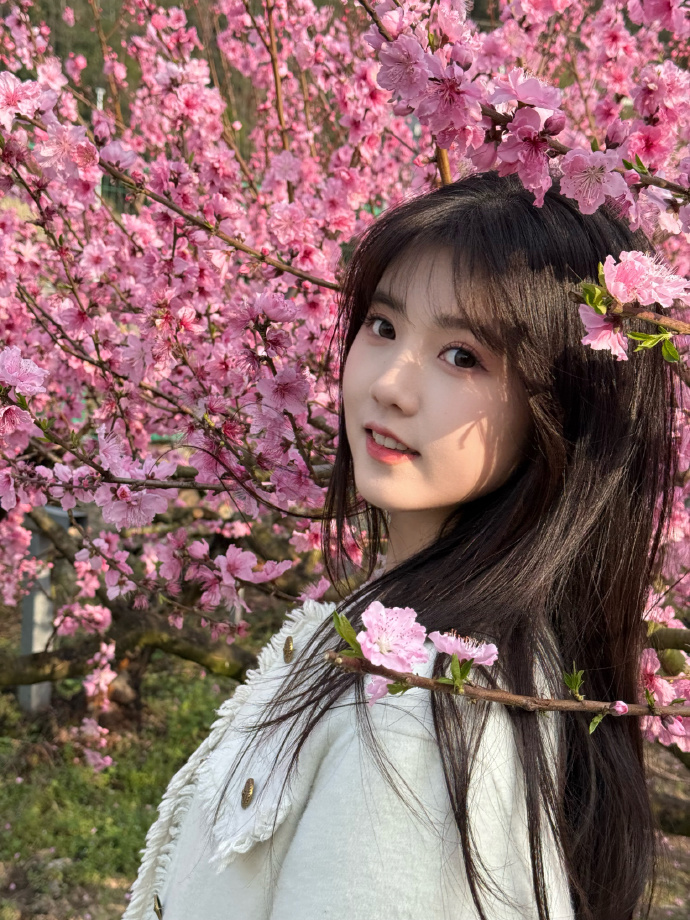 蜘蛛池是否能配合低频爬虫同步策略